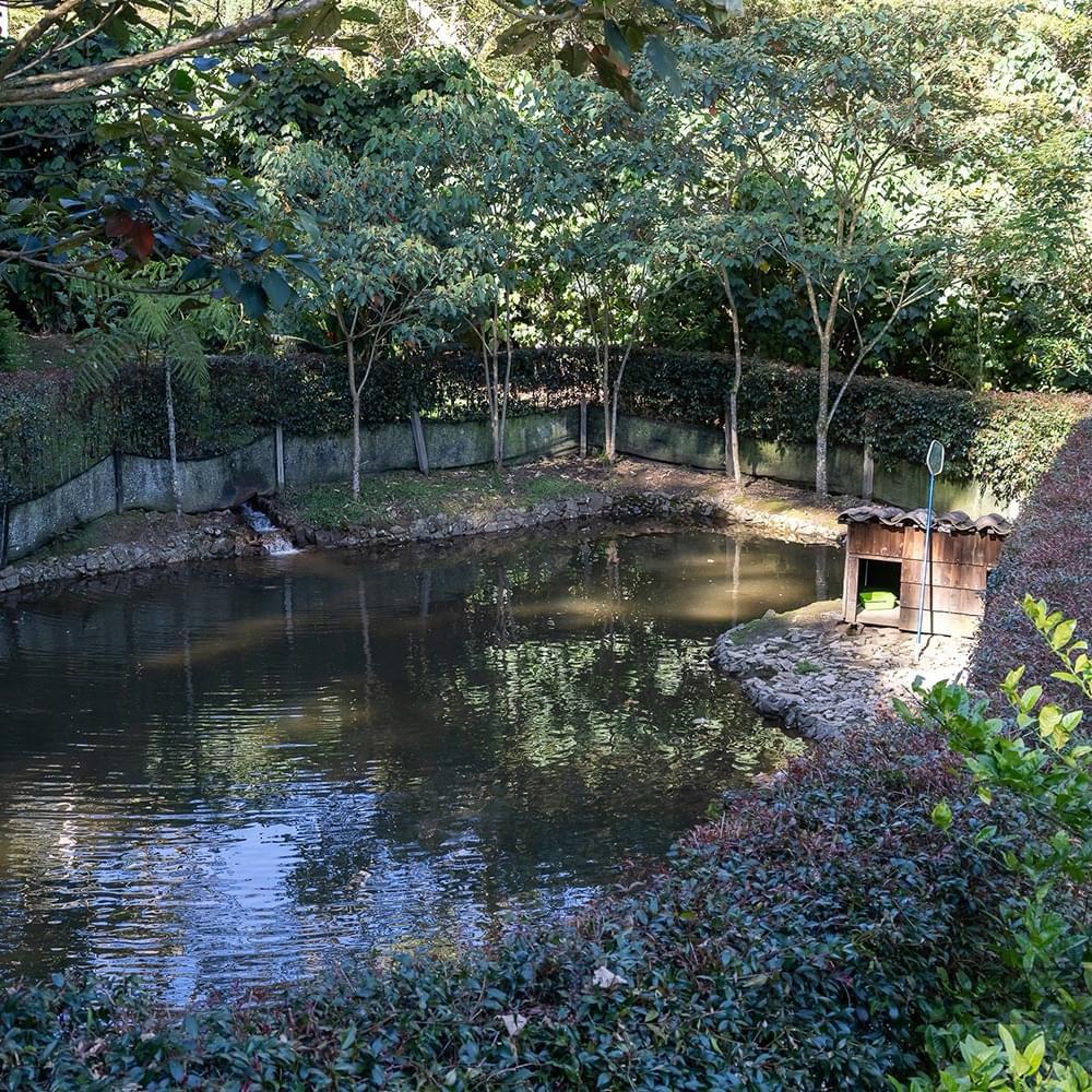 SE VENDE FINCA EN EL RETIRO