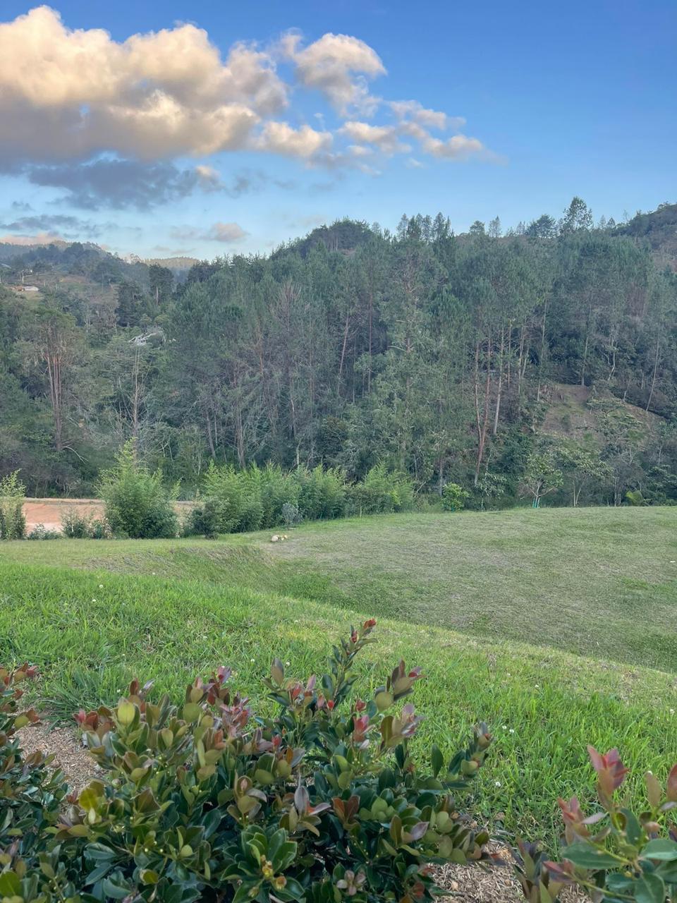 VENTA LOTE EN HORIZONTES