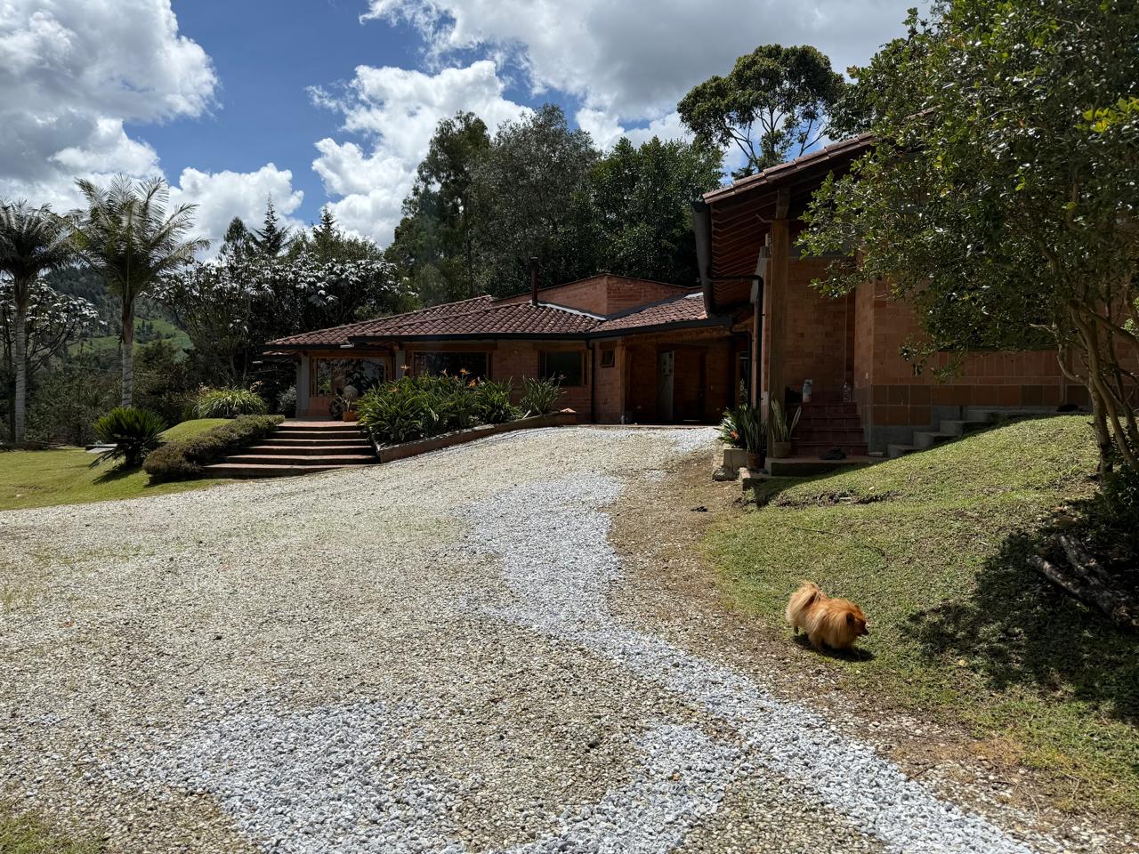 Se vende o se arrienda Finca Tierra Grata – El Retiro